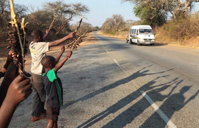 Zimbabwe kids hunt mice and sell them as tasty snacks | iNFOnews.ca