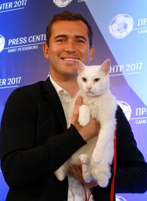Russia unveils psychic cat ahead of Confederations Cup | iNFOnews.ca