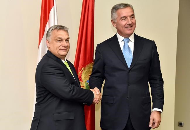 The Latest: Italy's Salvini dismisses EU asylum proposal | iNFOnews.ca