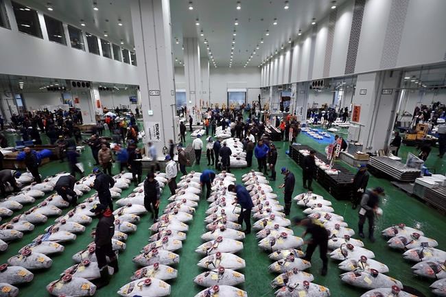 Bluefin sold for $3 million in 1st 2019 sale at Tokyo market | iNFOnews.ca Bluefin sold for $3 million in 1st 2019 sale at Tokyo market | iNFOnews.ca