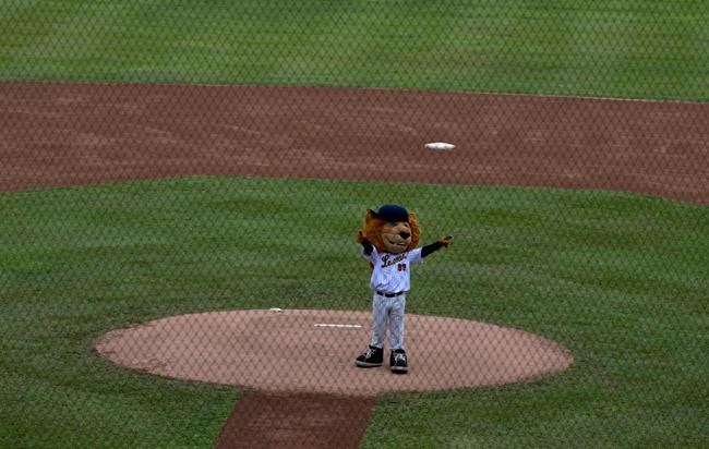 Venezuelan fans endure sacrifices to 'Play Ball' amid crisis | iNFOnews.ca