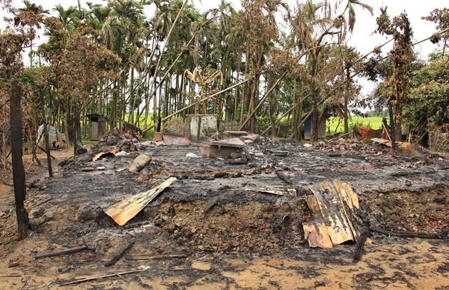 Cattle from abandoned Rohingya villages sold to displaced | iNFOnews.ca