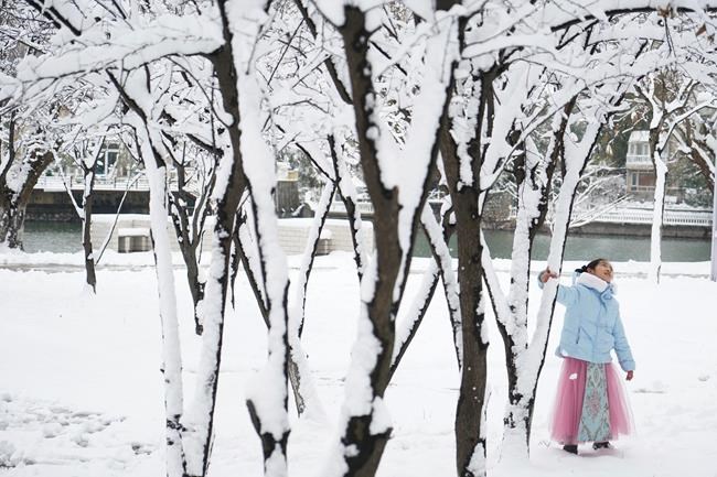 West China blizzards kill thousands of herd animals | iNFOnews.ca West China blizzards kill thousands of herd animals | iNFOnews.ca