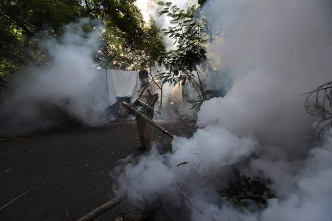 Dengue prevention efforts stifled by coronavirus pandemic | iNFOnews.ca