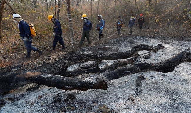 Brazil says it is successfully controlling fires in Amazon | iNFOnews.ca