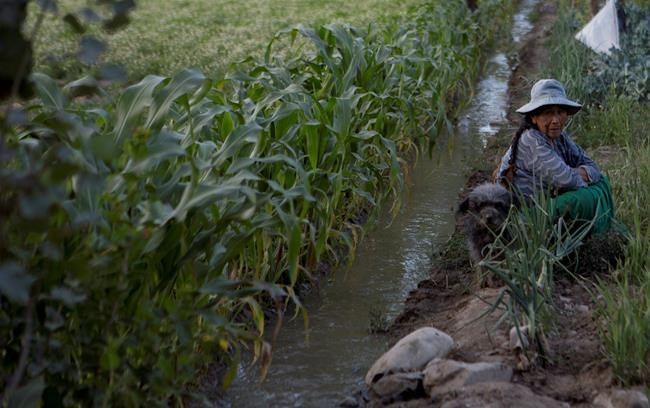 Water from sewage rivers used to grow vegetables in Bolivia | iNFOnews.ca Water from sewage rivers used to grow vegetables in Bolivia | iNFOnews.ca