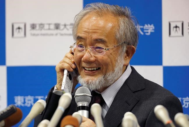 Japanese scientist wins Nobel for study of cell recycling | iNFOnews.ca