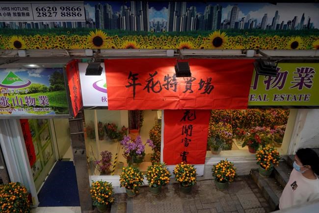 Flower farms see their Lunar New Year sales wilted by virus | iNFOnews.ca Flower farms see their Lunar New Year sales wilted by virus | iNFOnews.ca