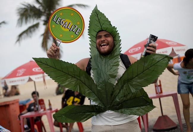 Brazil regulator greenlights medicinal cannabis products | iNFOnews.ca Brazil regulator greenlights medicinal cannabis products | iNFOnews.ca