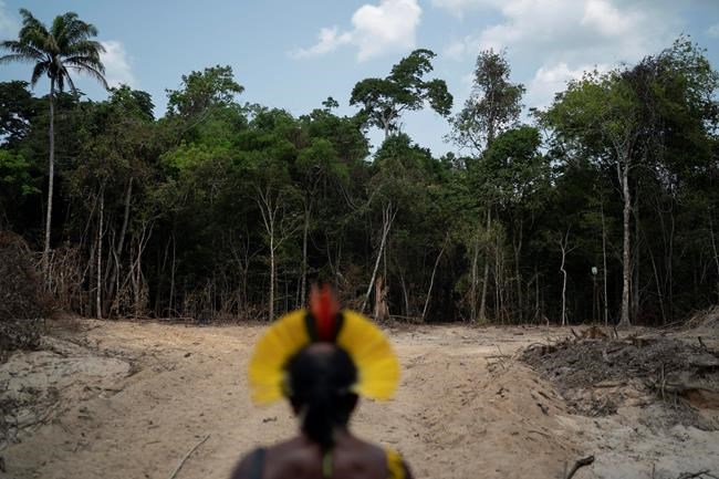 Brazil says Amazon deforestation is worst since 2008 | iNFOnews.ca Brazil says Amazon deforestation is worst since 2008 | iNFOnews.ca
