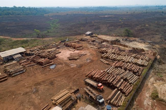 Brazil asks investment firms to adopt protected Amazon areas | iNFOnews.ca