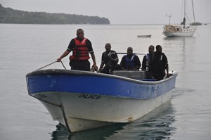 CP29767706