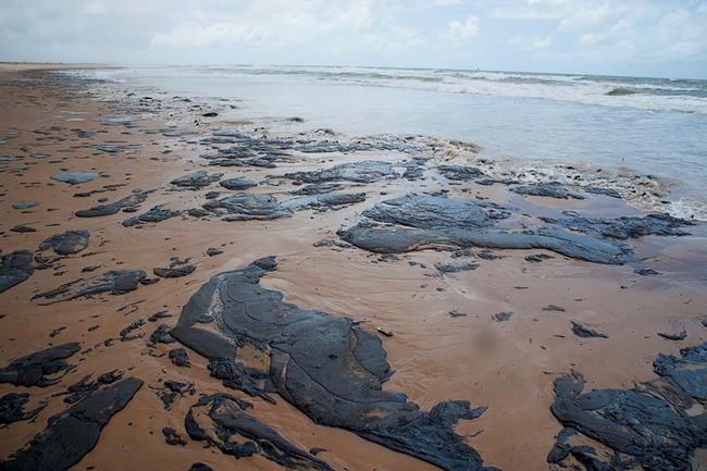 Brazil reckons with new oil spill mystery: When will it end? | iNFOnews.ca Brazil reckons with new oil spill mystery: When will it end? | iNFOnews.ca
