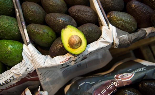 Guacamole blues: Mexicans dismayed by avocado price climb | iNFOnews.ca Guacamole blues: Mexicans dismayed by avocado price climb | iNFOnews.ca