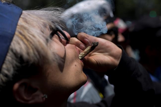 Mexico court sets precedent on legal, recreational pot use | iNFOnews.ca