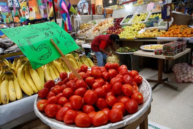 Mexico says tariffs will send tomato prices soaring in US | iNFOnews.ca