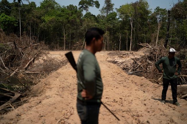 Brazil's environmental workers tell of decline before fires | iNFOnews.ca Brazil's environmental workers tell of decline before fires | iNFOnews.ca