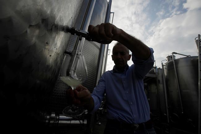 Prosecco's bubble shows no sign of bursting | iNFOnews.ca