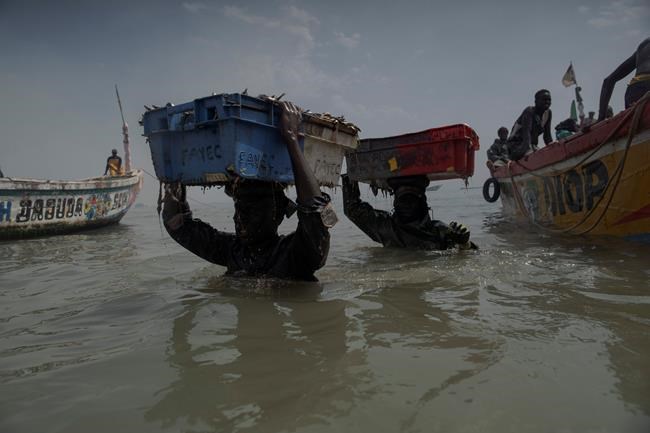 Hit by COVID, Senegal's women find renewed hope in fishing | iNFOnews.ca Hit by COVID, Senegal's women find renewed hope in fishing | iNFOnews.ca