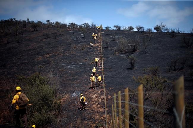 Chile battles raging wildfires fueled by heat wave, winds | iNFOnews.ca