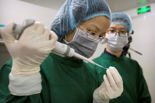 Q&A on scientist's bombshell claim of gene-edited babies | iNFOnews.ca