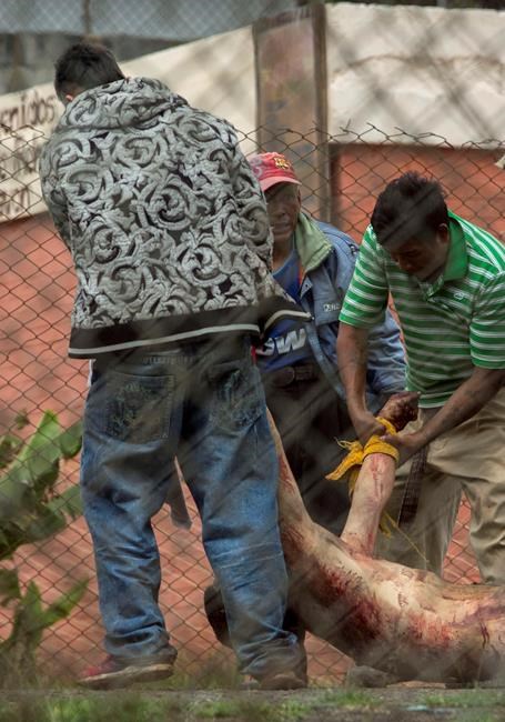 7 dead, 10 wounded in Guatemala prison riot shooting | iNFOnews.ca