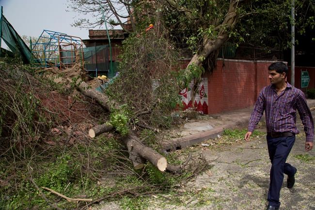 Powerful storms kill at least 43 across northern India | iNFOnews.ca