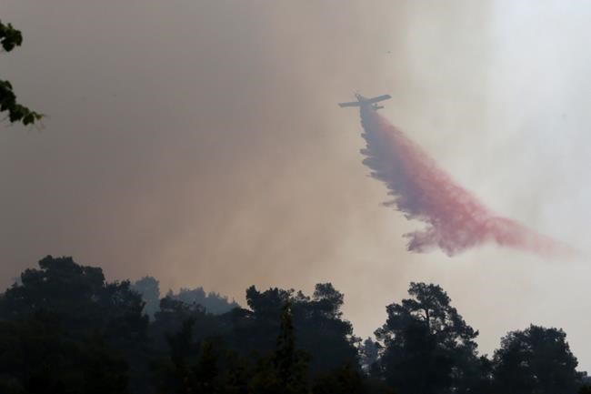 Cyprus' rival Turkey offers help to battle huge forest fire | iNFOnews.ca