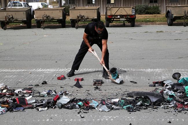 Cyprus' British base police say 'huge' drop in bird trapping | iNFOnews.ca