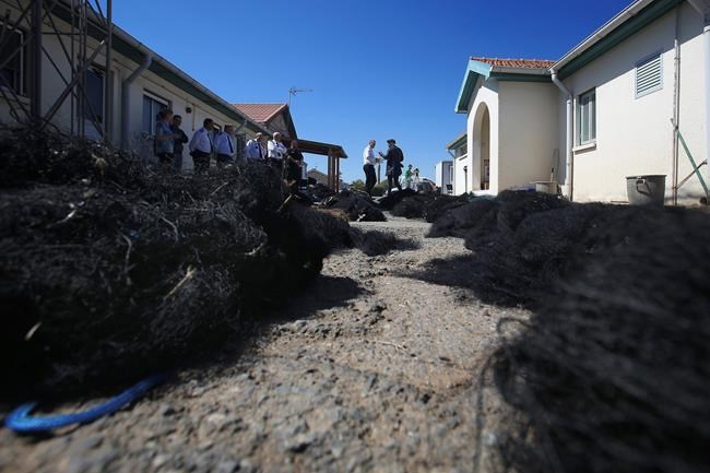 Britain defends bird-trapping crackdown at Cyprus bases | iNFOnews.ca