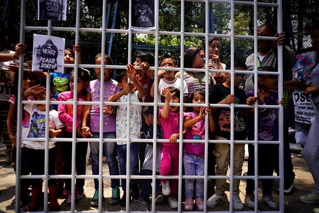 Judge: Separated families must be reunited within 30 days | iNFOnews.ca