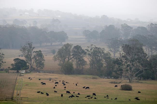 Australia to pay 'whatever it takes' to fight wildfires | iNFOnews.ca Australia to pay 'whatever it takes' to fight wildfires | iNFOnews.ca