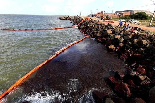 Brazil sending more troops in oil spill clean-up | iNFOnews.ca Brazil sending more troops in oil spill clean-up | iNFOnews.ca