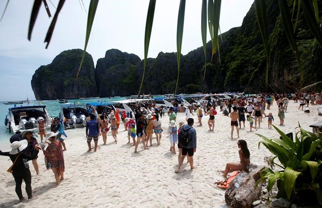 Thailand keeping 'The Beach' of movie fame closed for rehab | iNFOnews.ca