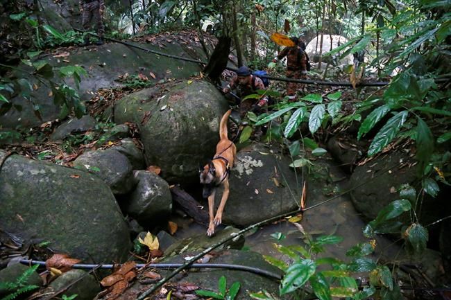 London teen missing in Malaysia isn't independent: parents | iNFOnews.ca