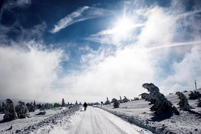 The Latest: Winter storm halts all flights in Dublin | iNFOnews.ca