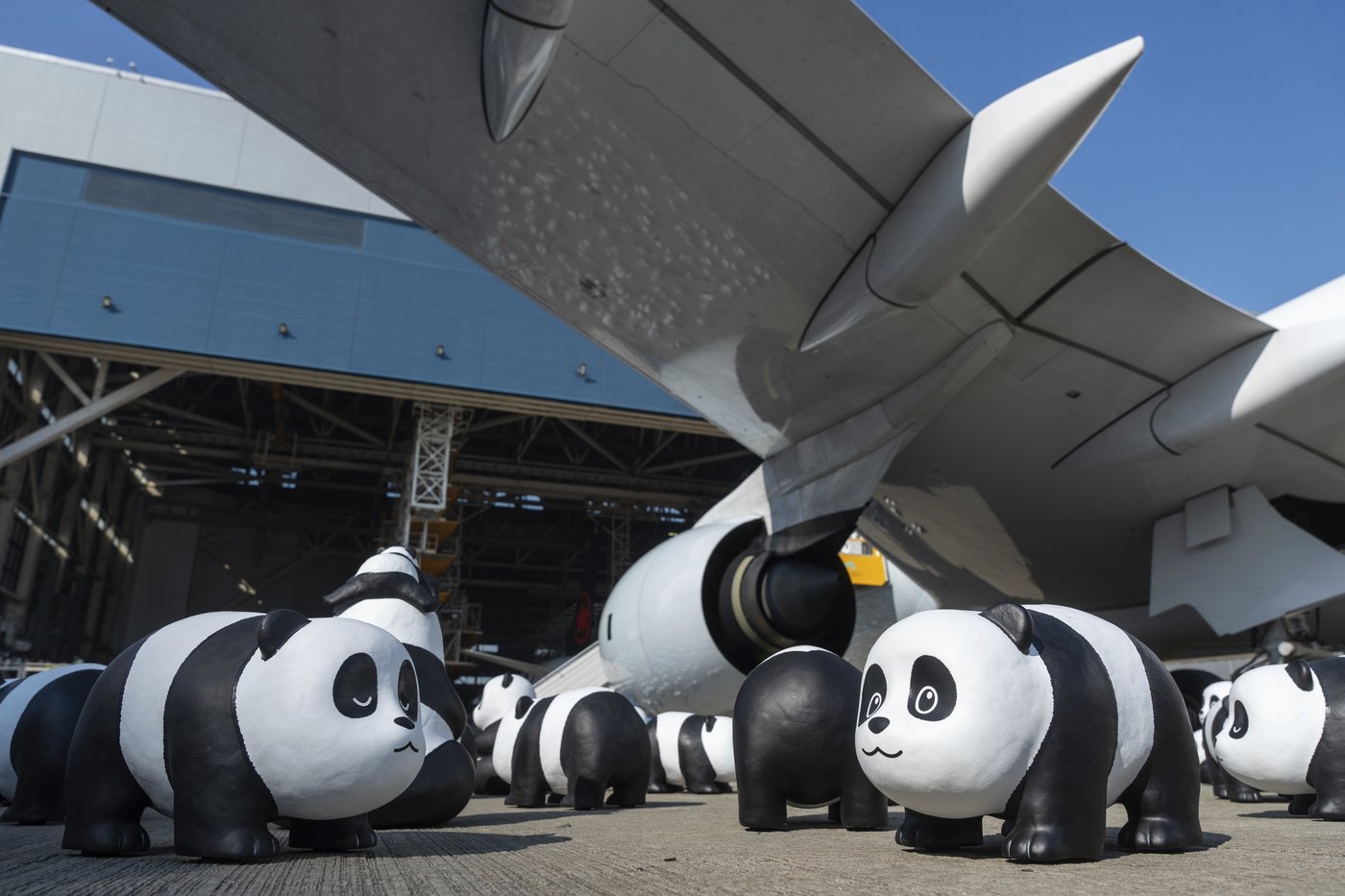 Hong Kong launches panda sculpture tour as the city hopes the bear craze boosts tourism | iNFOnews.ca