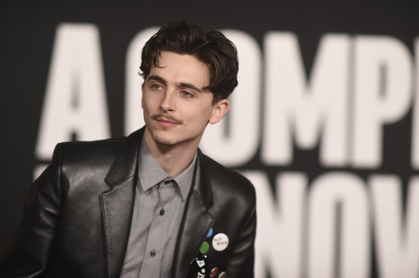 How Timothée Chalamet transformed into Bob Dylan | iNFOnews.ca How Timothée Chalamet transformed into Bob Dylan | iNFOnews.ca