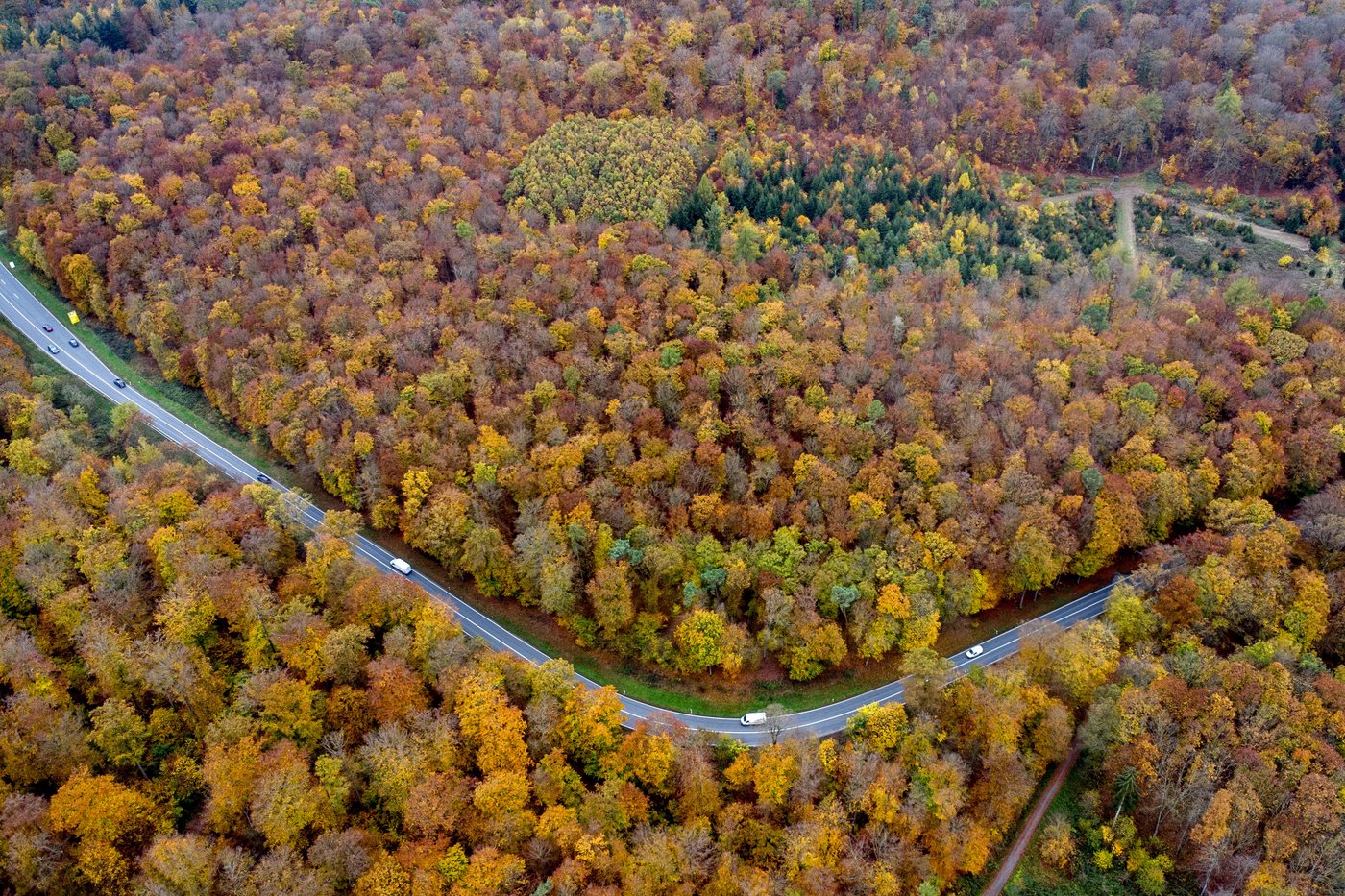 At U.N. summit, historic agreement to give Indigenous groups voice on nature conservation decisions | iNFOnews.ca