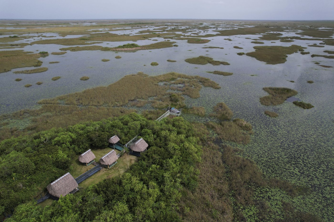 Takeaways from AP's story on the Miccosukee's fight to protect the Everglades | iNFOnews.ca Takeaways from AP's story on the Miccosukee's fight to protect the Everglades | iNFOnews.ca