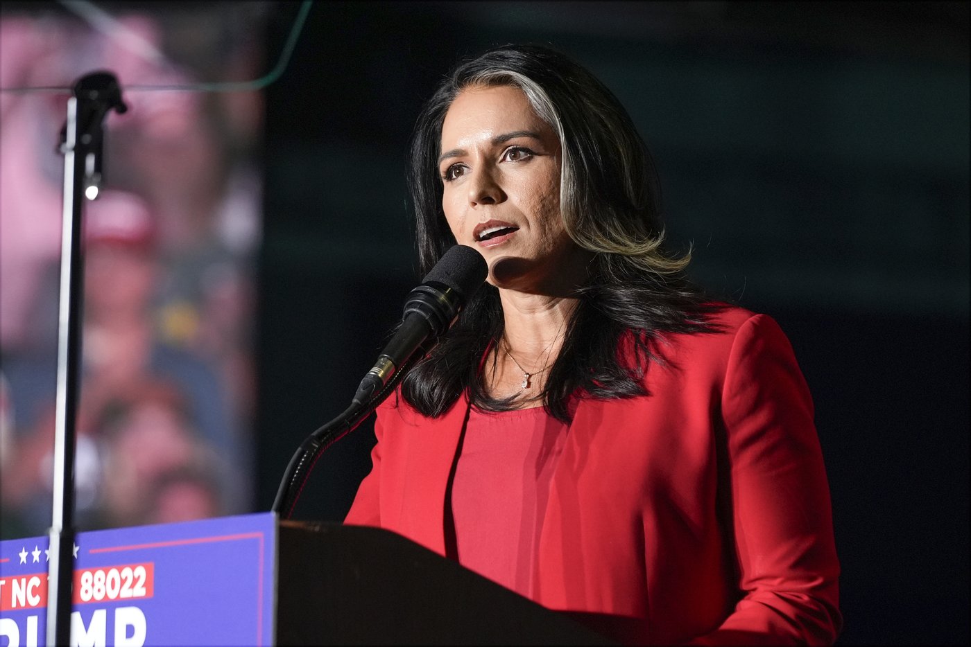 Gabbard's sympathetic views toward Russia cause alarm as Trump's pick to lead intelligence services | iNFOnews.ca Gabbard's sympathetic views toward Russia cause alarm as Trump's pick to lead intelligence services | iNFOnews.ca