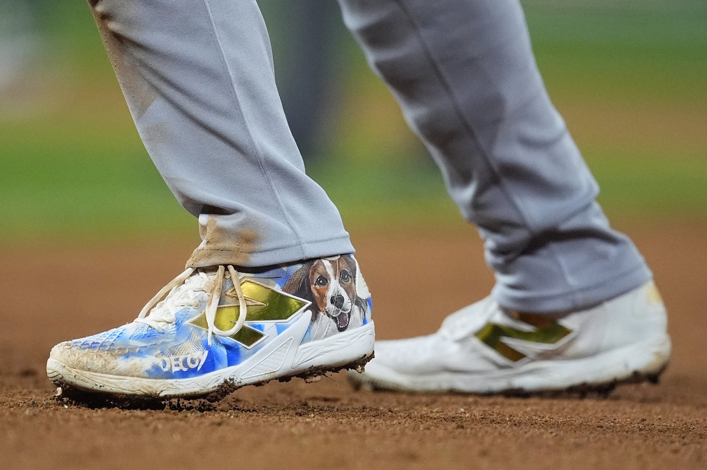 Shohei Ohtani and the MLB playoffs, a pairing the world will experience for the 1st time | iNFOnews.ca Shohei Ohtani and the MLB playoffs, a pairing the world will experience for the 1st time | iNFOnews.ca