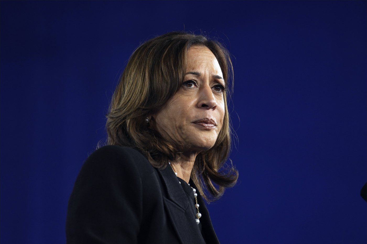 Harris tries to turn Gaza protests into a way to energize the crowds at her rallies | iNFOnews.ca Harris tries to turn Gaza protests into a way to energize the crowds at her rallies | iNFOnews.ca
