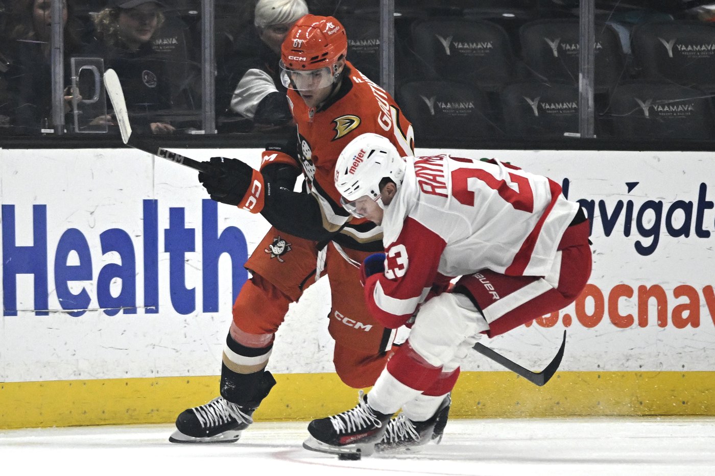 Cutter Gauthier puts Ducks ahead with his 1st NHL goal, and Anaheim rallies past the Red Wings 6-4 | iNFOnews.ca