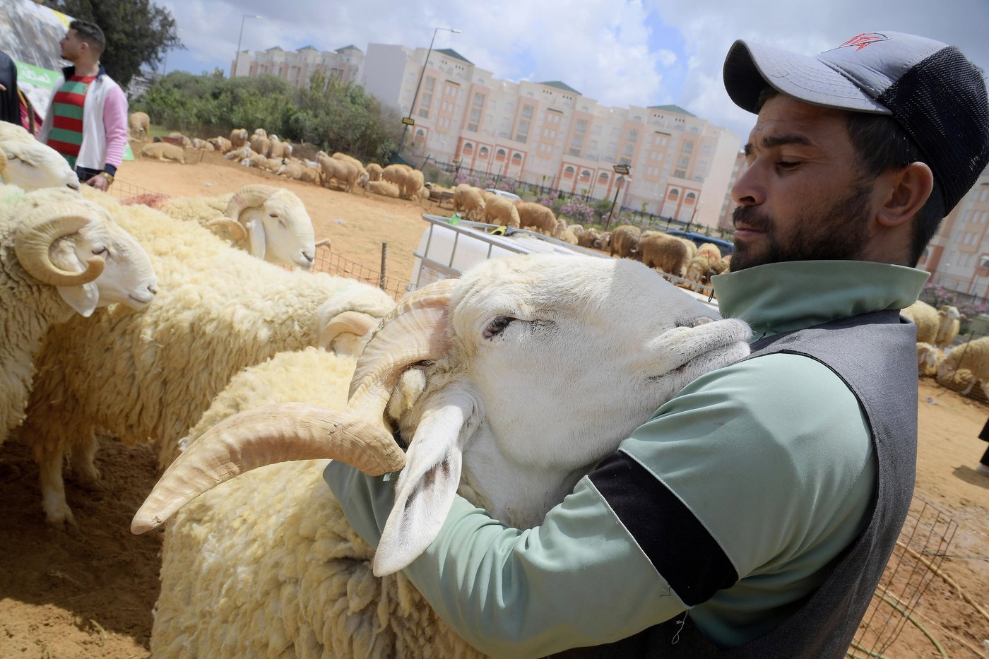 PHOTO COLLECTION: Eid al-Adha | iNFOnews.ca