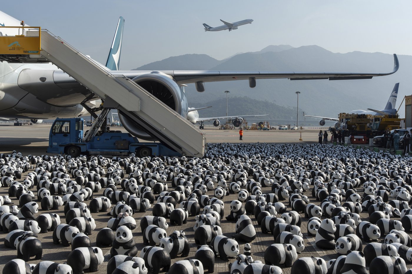 Hong Kong launches panda sculpture tour as the city hopes the bear craze boosts tourism | iNFOnews.ca