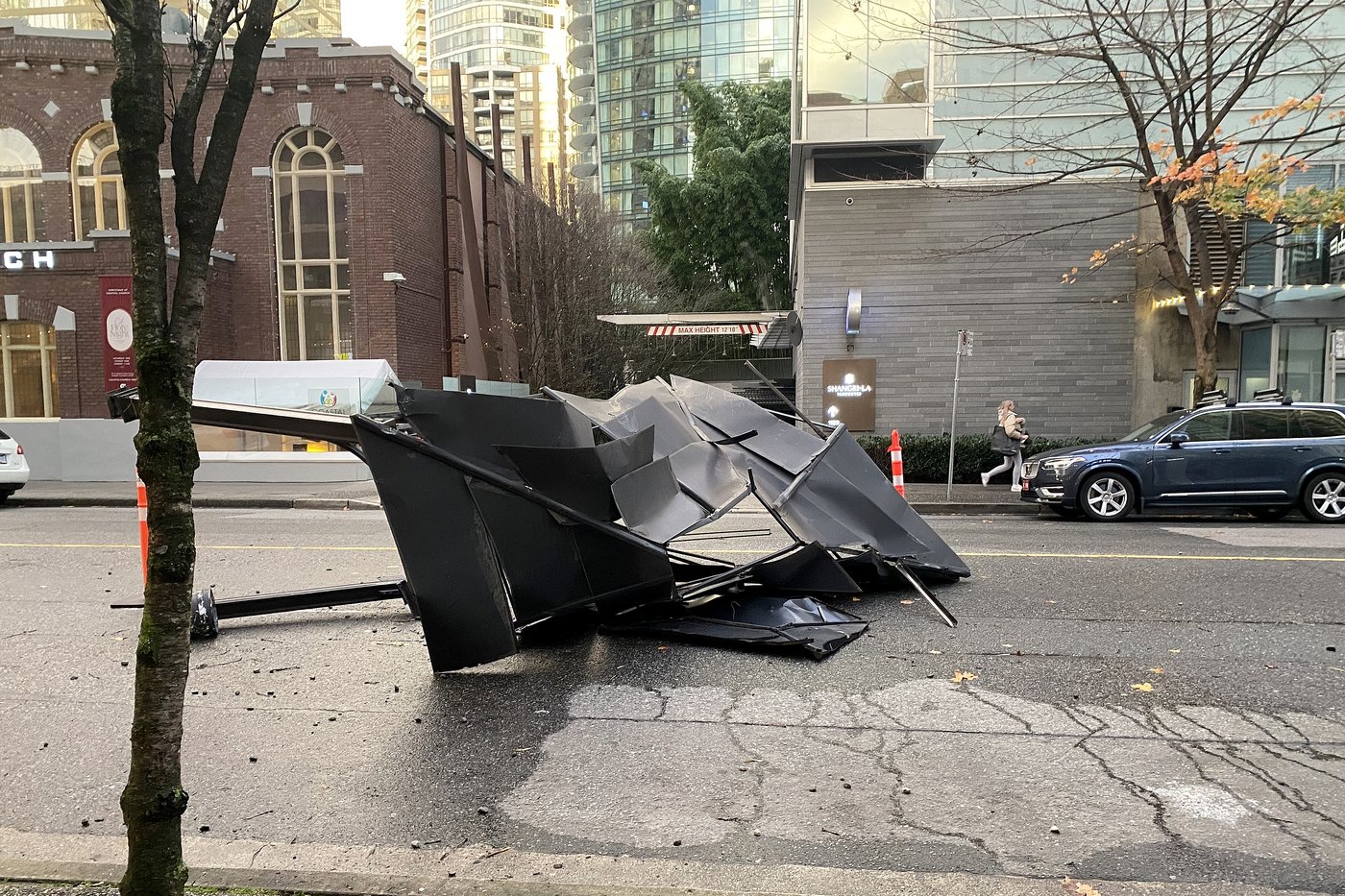 Surrey woman dead after tree falls during B.C windstorm Saturday | iNFOnews.ca