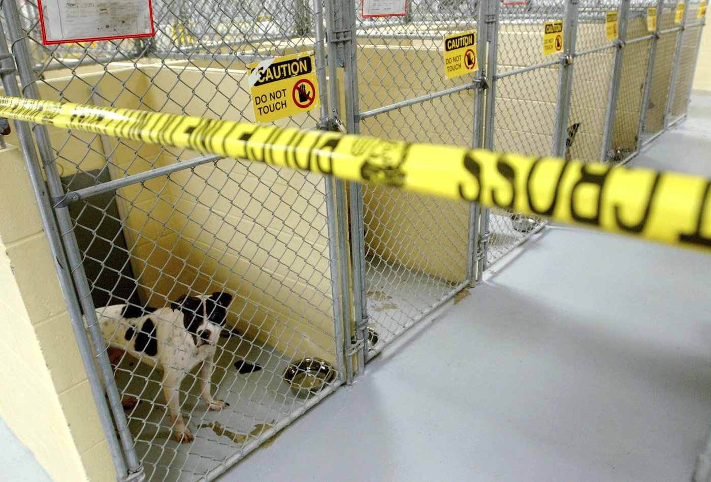 Former NFL player convicted in large-scale dogfighting operation in Oklahoma | iNFOnews.ca