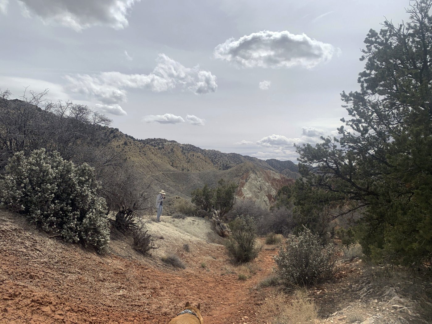 Supreme Court rejects Utah's push to wrest control of public land from the federal government | iNFOnews.ca Supreme Court rejects Utah's push to wrest control of public land from the federal government | iNFOnews.ca