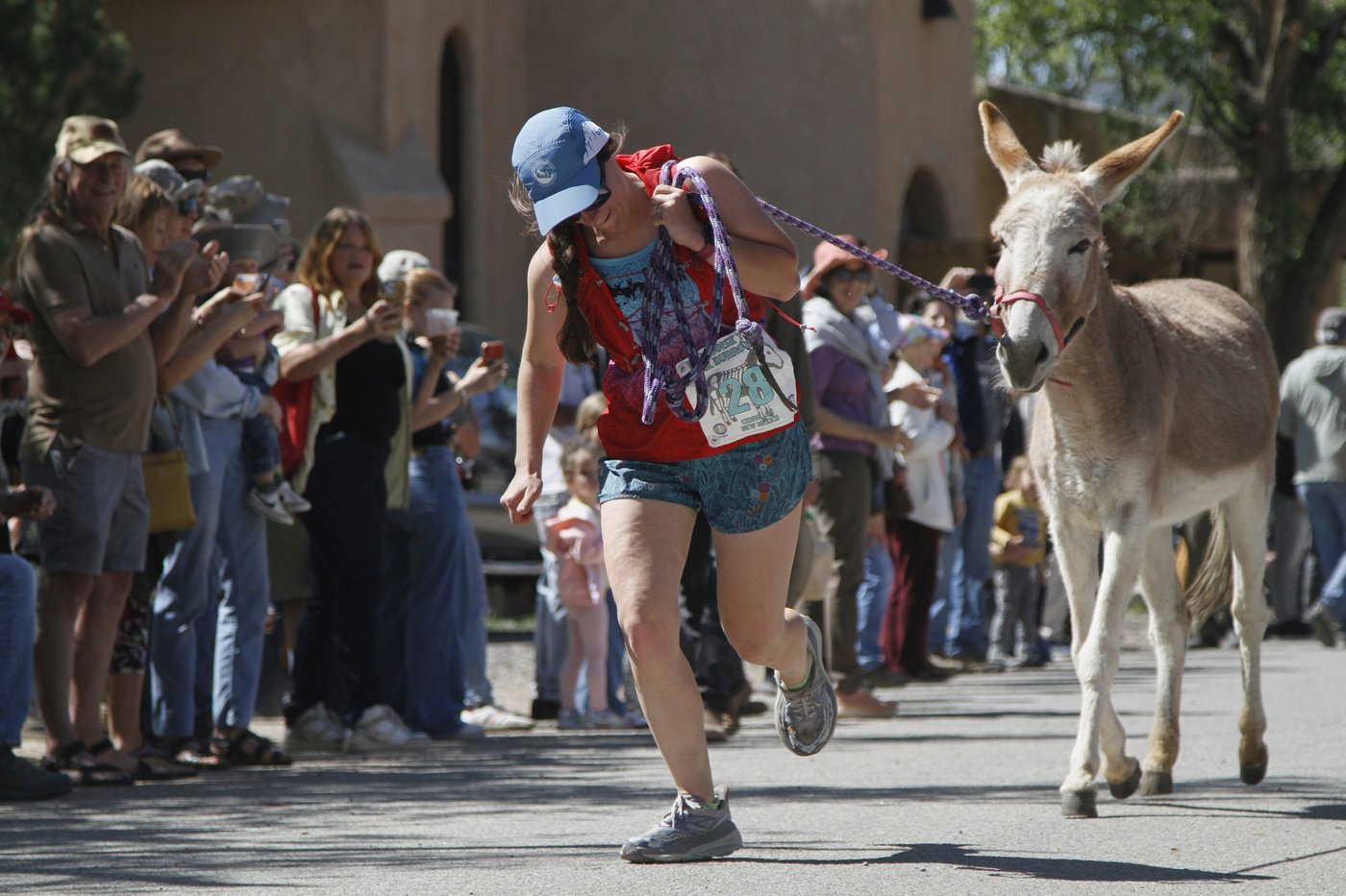 Burro racing wins over runners in backcountry ode to mining history | iNFOnews.ca